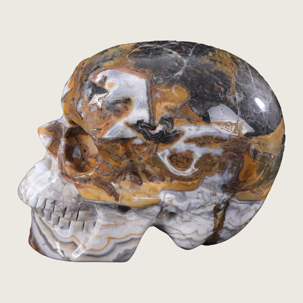 4.5" Red Crazy Lace Agate Human Skull Carving  #SKH45004