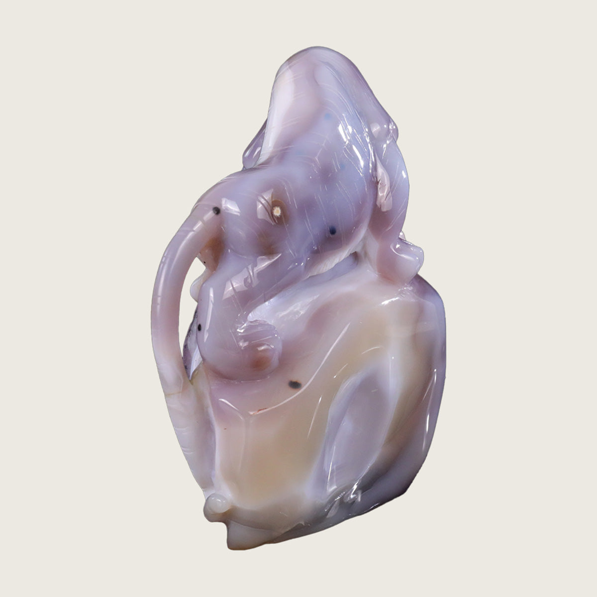 5.2" Amethyst Druse Agate Leopard Carving  #GDC0016