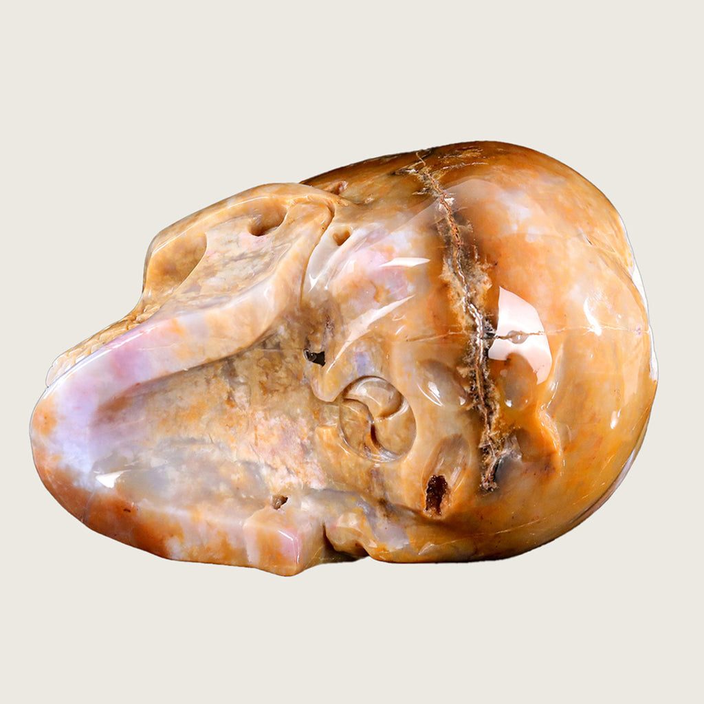 8.6" Chalcedony Jasper Skull Carving  #SCS0008