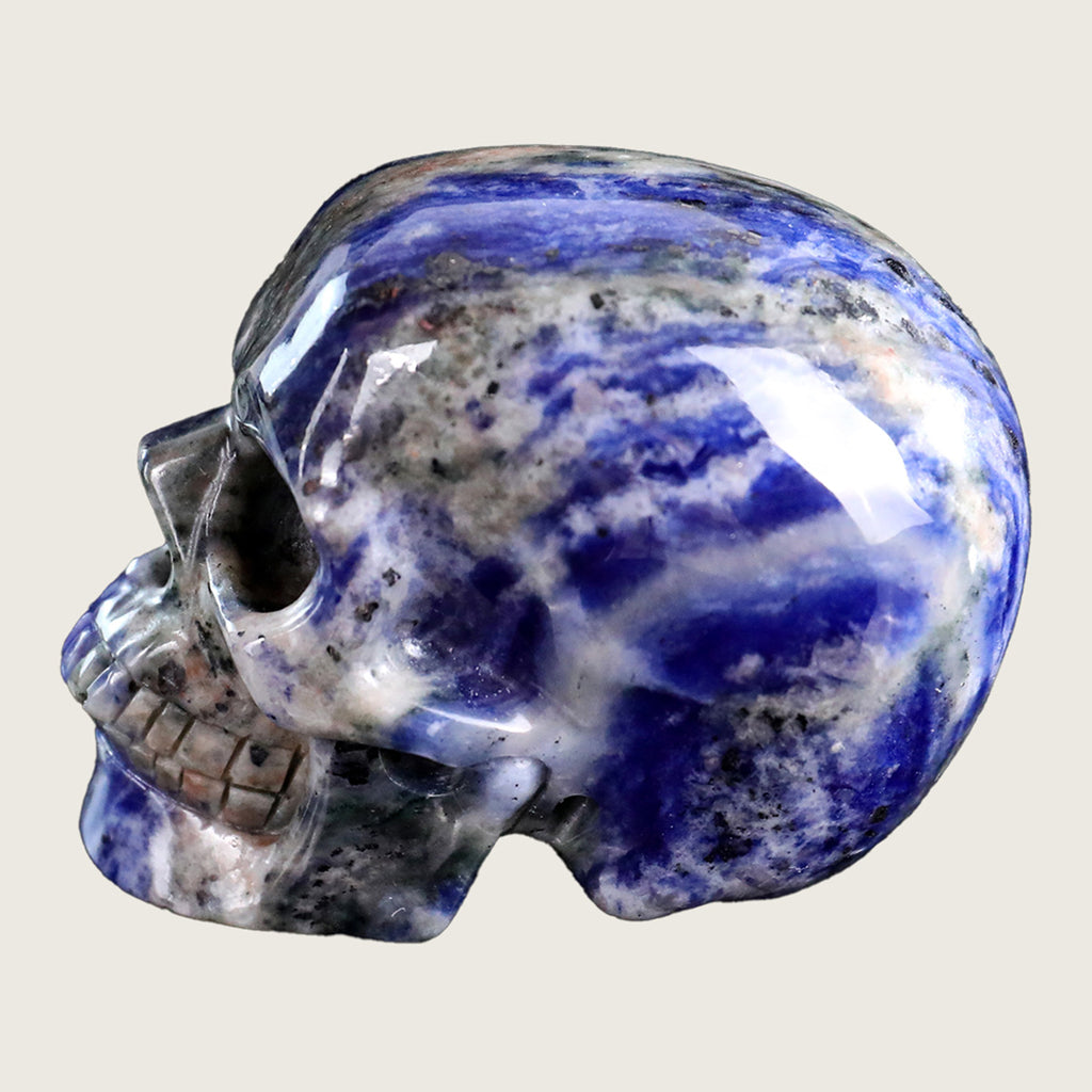 3.0" Sodalite Human Skull Carving  #SKH30002
