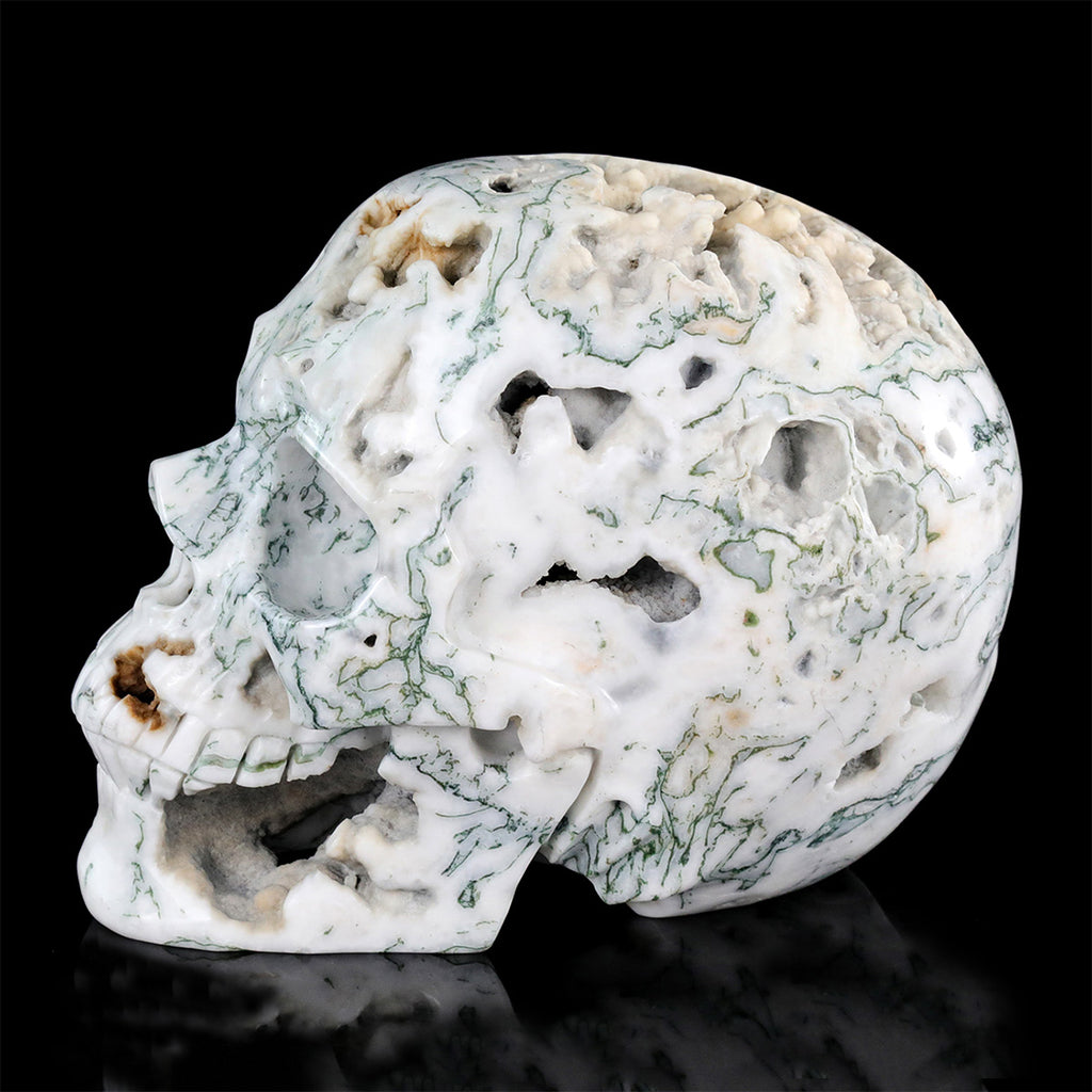 9.0" Moss Agate Crystal Skull Carving  #SCS0029
