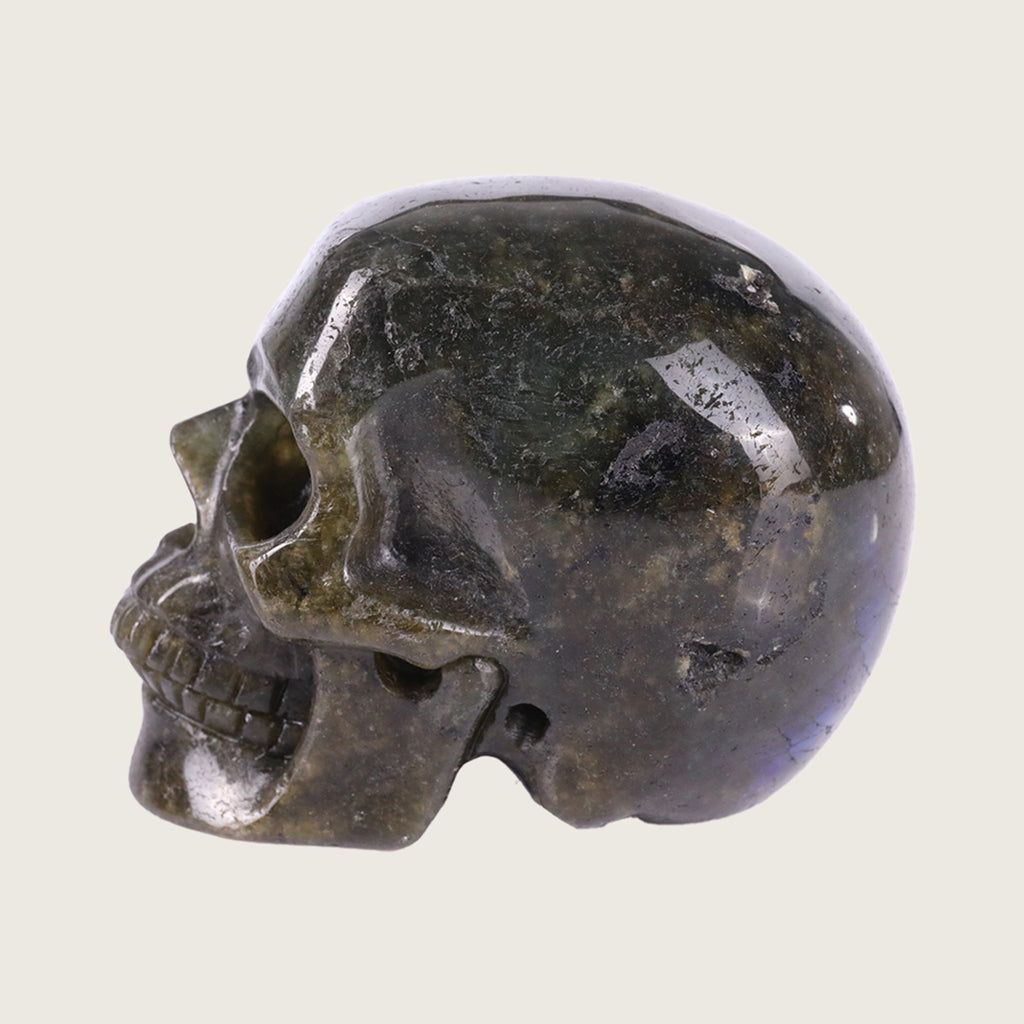 3.0" Blue Labradorite Human Skull Carving  #SKH30015