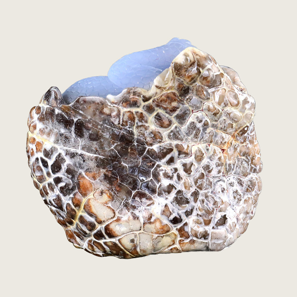 5.1" Blue Chalcedony Baby Dragon Carving  #CTC0015