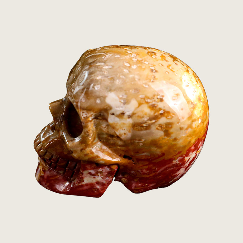 2.2" Agatized Coral Crystal Skull Carving  #SKH22041