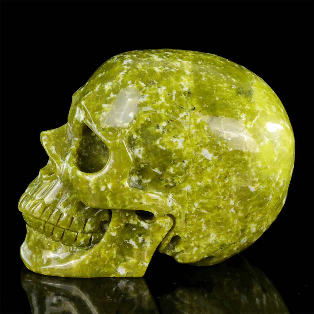 8.0" Serpentine Jade Crystal Skull Carving  #SCS0025
