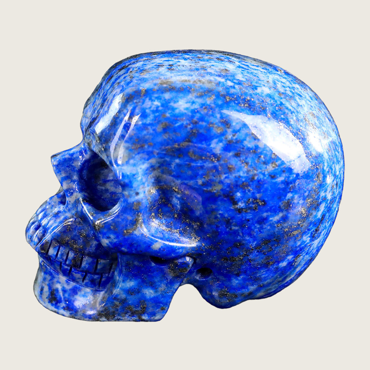 3.0" Lapis Lazuli Human Skull Carving  #SKH30003