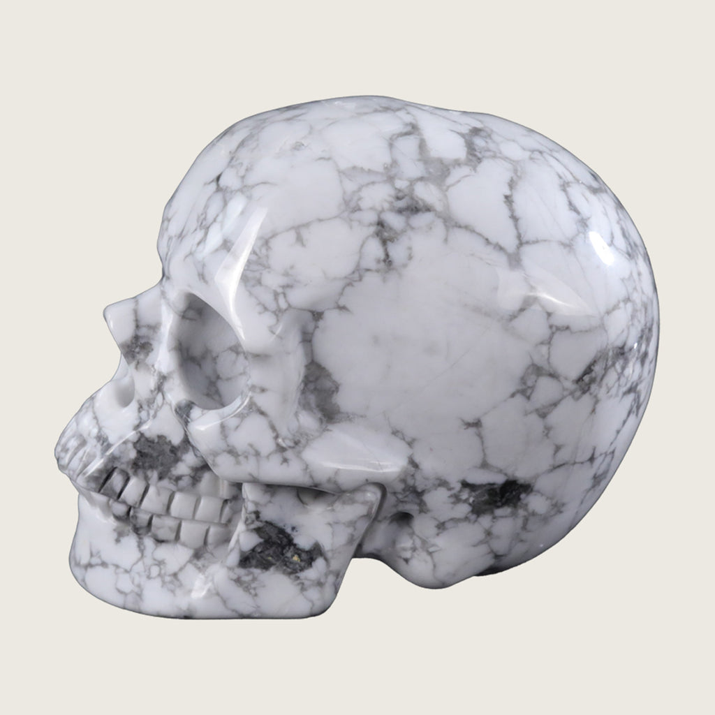 4.5" Howlite Human Skull Carving  #SKH45007