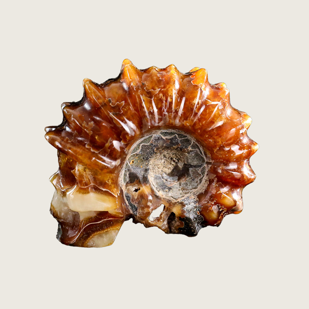 2.3" Foraminifera Fossil Skull Carving  #SCS0021