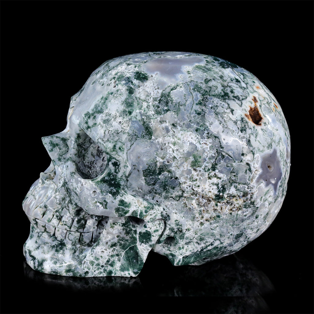 8.0" Moss Agate Crystal Skull Carving  #SCS0024