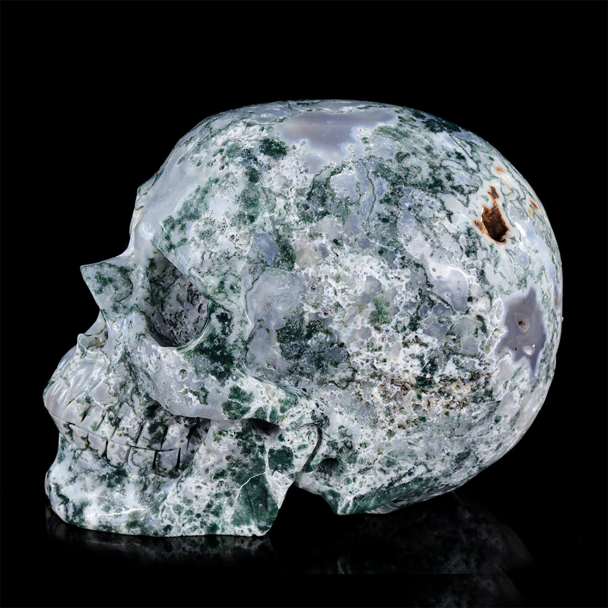 8.0" Moss Agate Crystal Skull Carving  #SCS0024