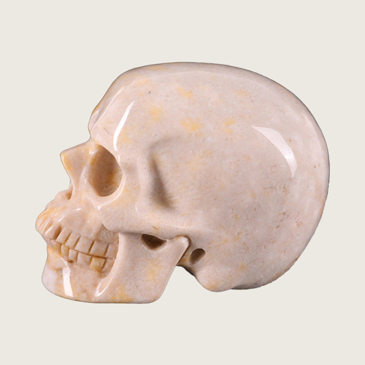 3.0" Coral Fossil Jade Human Skull Carving  #SKH30018