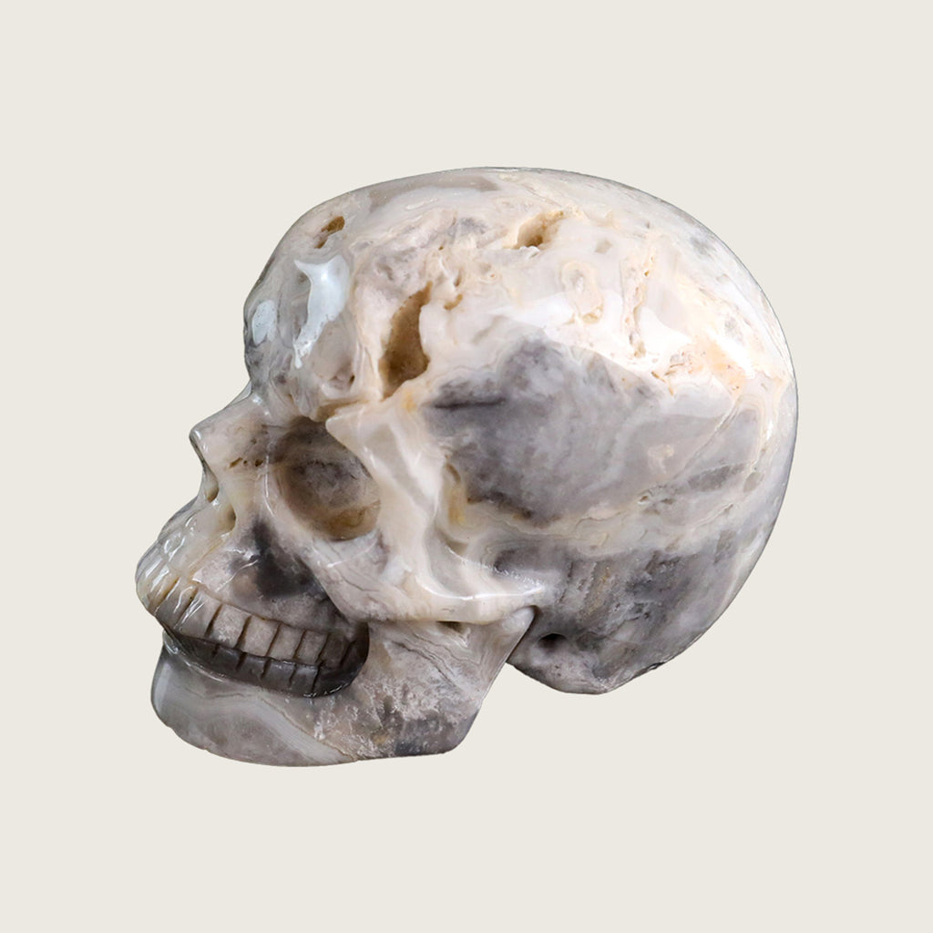 3.0" Crazy Lace Agate Crystal Skull Carving  #SKH30039
