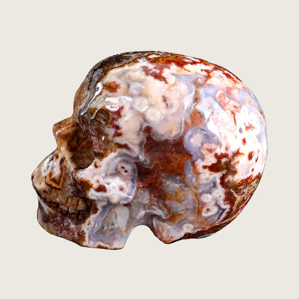 3.0" Red Crazy Lace Agate Crystal Skull Carving  #SKH30033