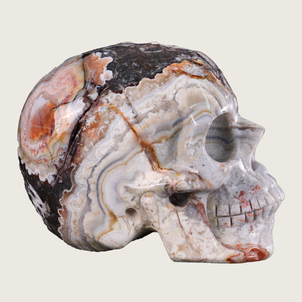 4.5" Red Crazy Lace Agate Human Skull Carving  #SKH45005