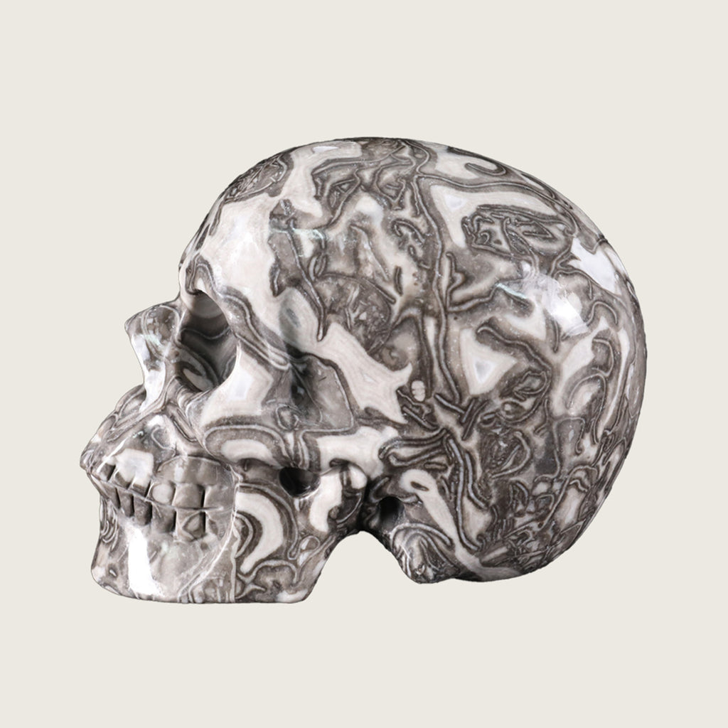4.5" Black Crazy Agate Crystal Skull Carving  #SKH45011