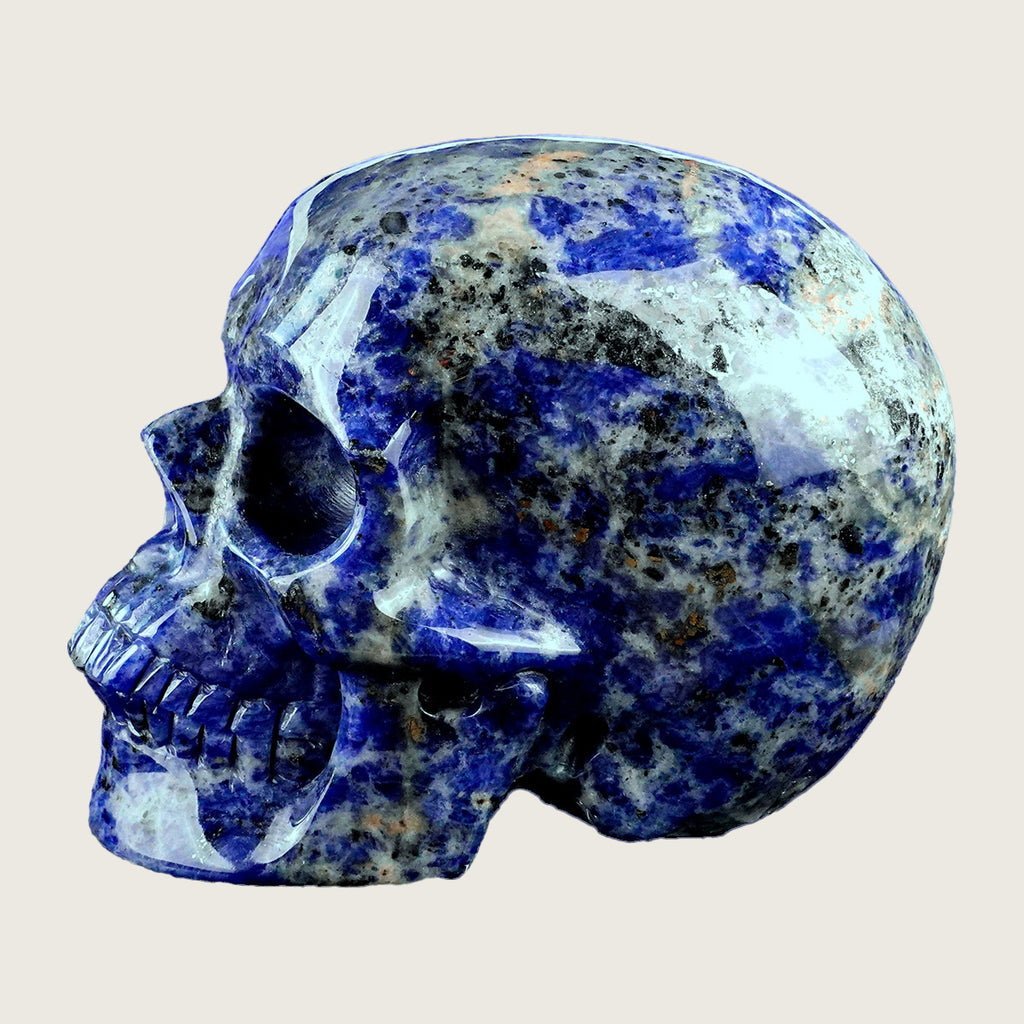 4.5" Sodalite Human Crystal Skull Carving  #SKHSL4501