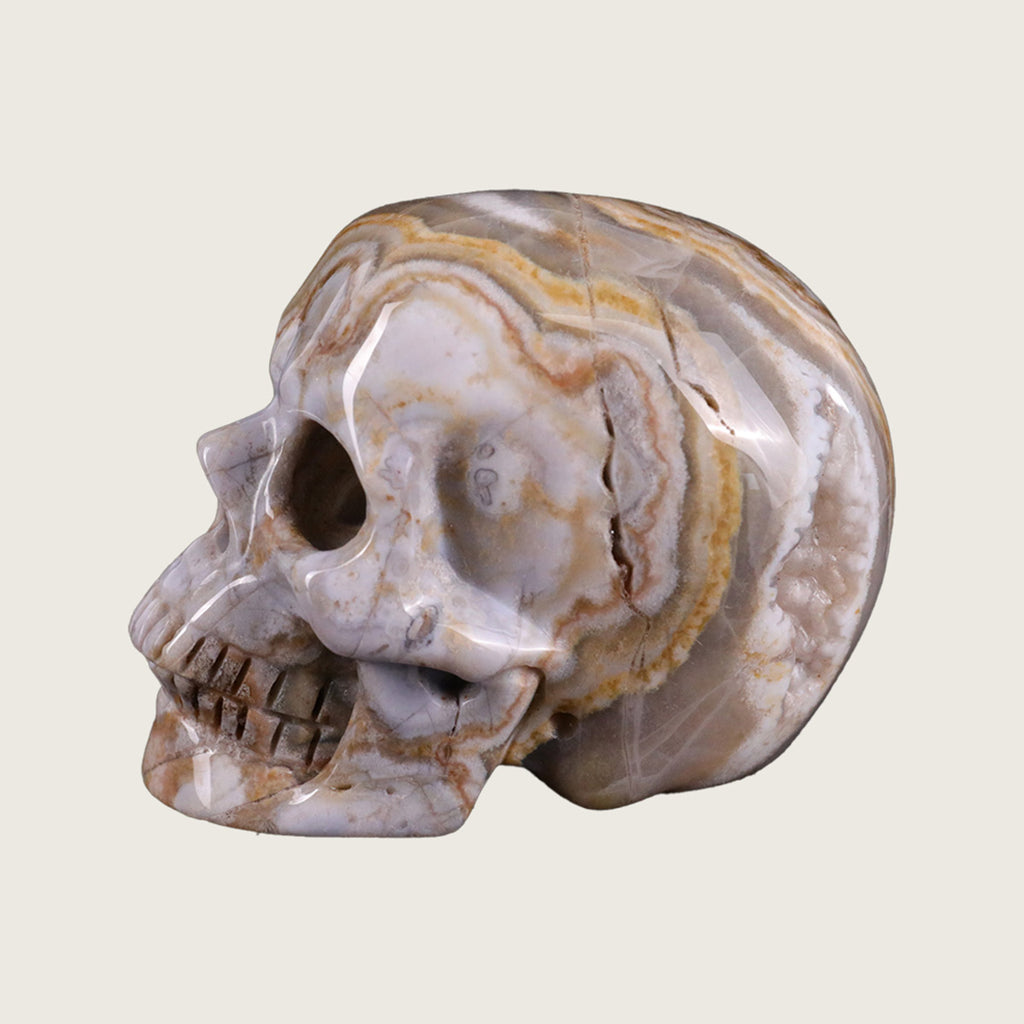 2.2" Red Crazy Lace Agate Crystal Skull Carving  #SKH22035
