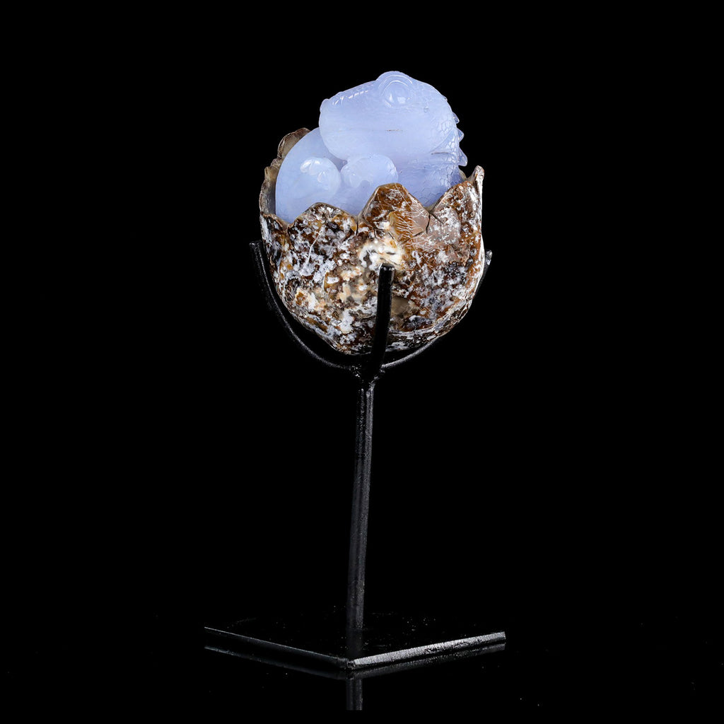 5.2" Blue Chalcedony Baby Dinosaur Carving  #CTC0080