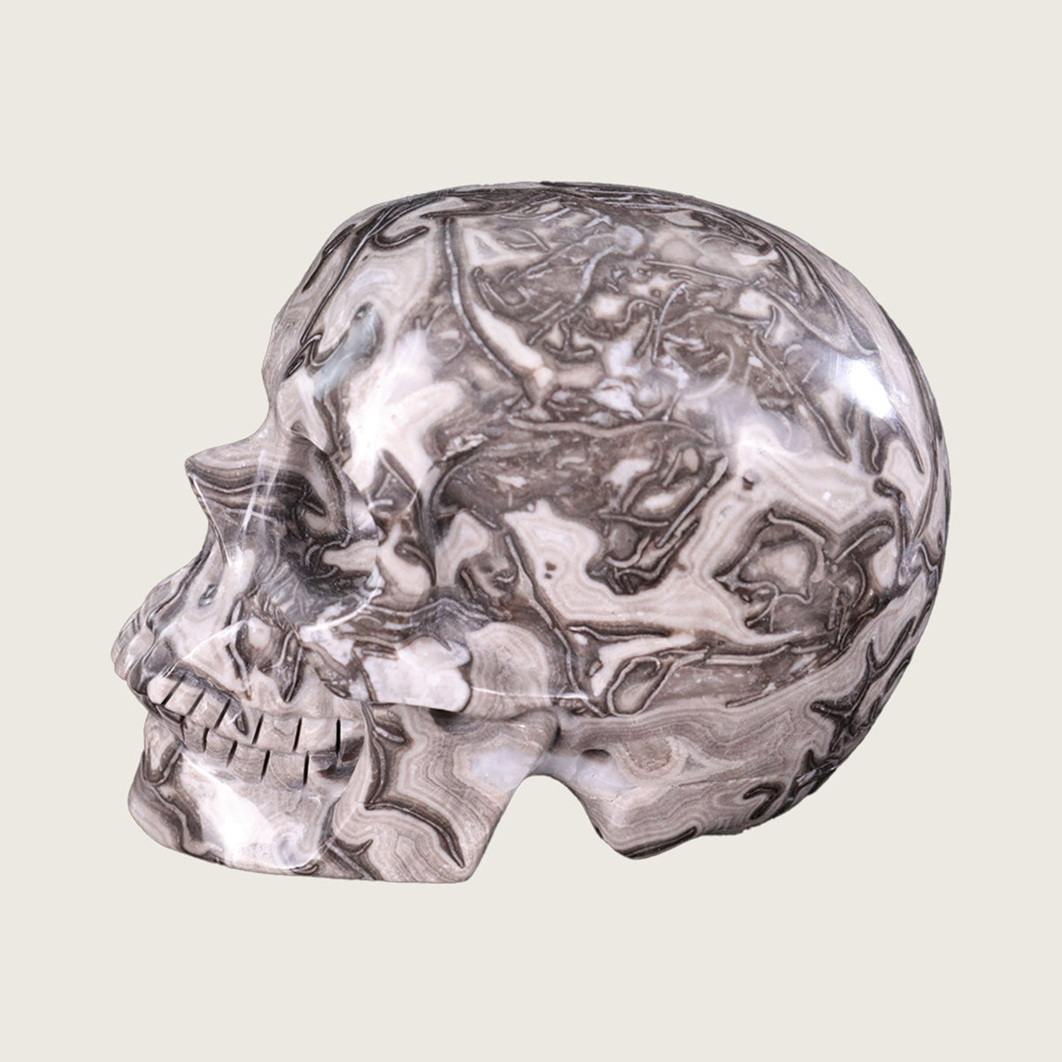 5.0" Black Crazy Lace Agate Human Skull Carving  #SCS0016