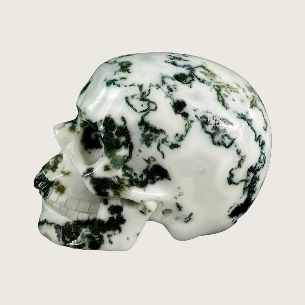 3.0" Moss Agate Crystal Skull Carving  #SKH30070
