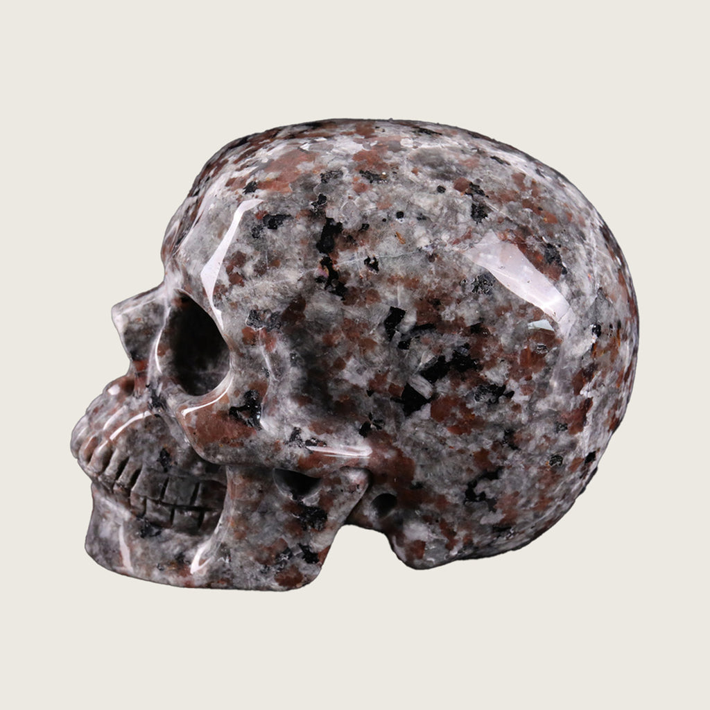 3.0" Yooperlite Human Skull Carving  #SKH30014