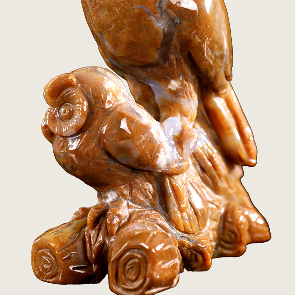 6.0" Chalcedony Jasper Owls Carving  #CTC0001