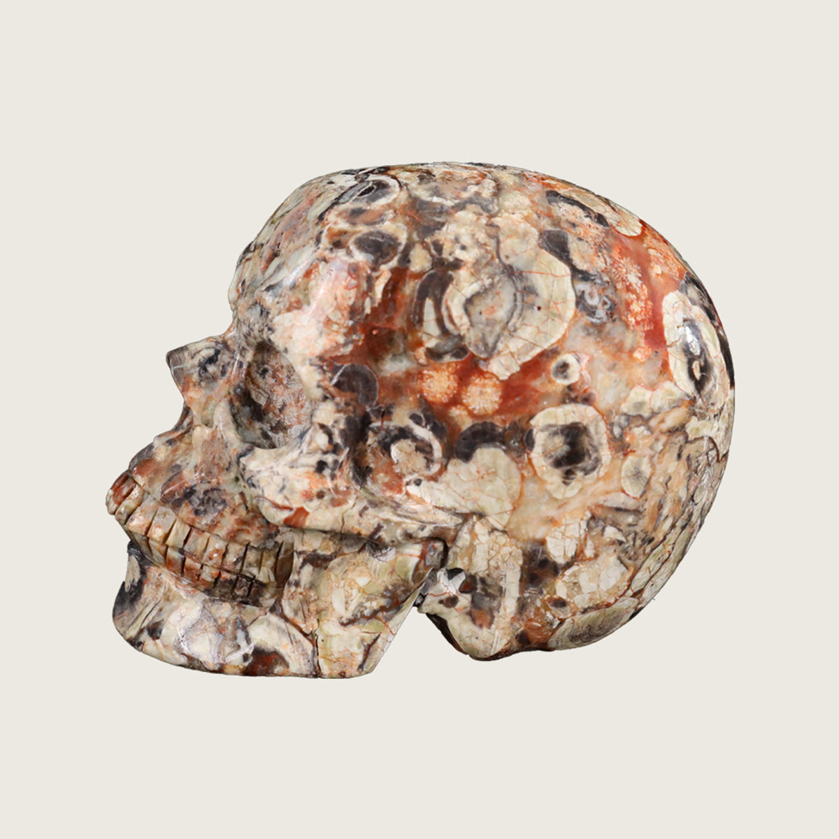4.5" Coin Agate Crystal Skull Carving  #SKH45025