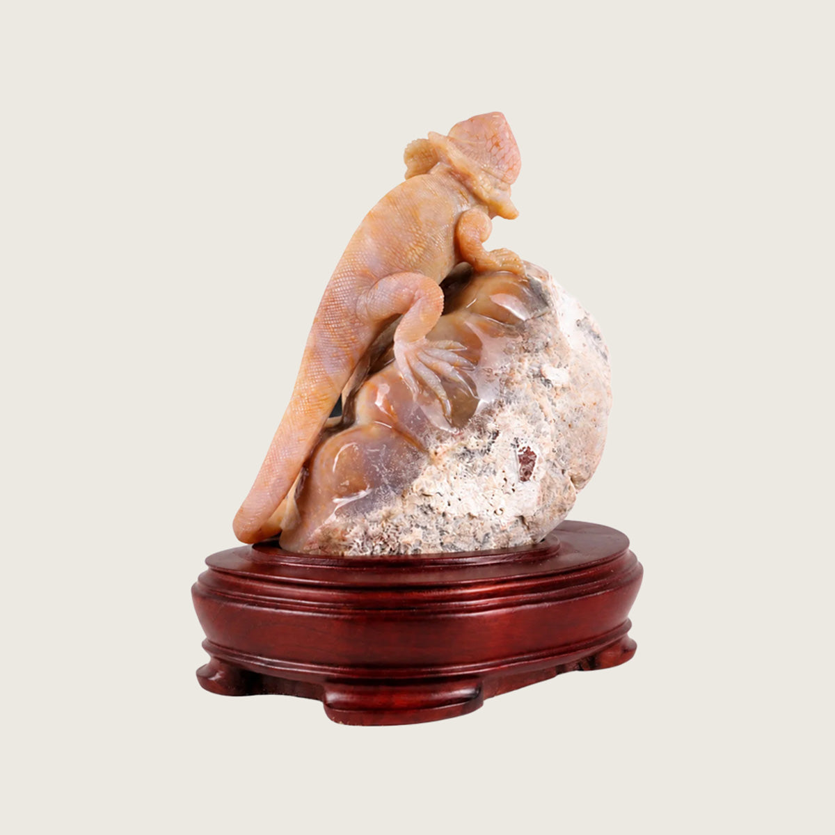 6.8" Chalcedony Jasper Crystal Lizard Carving  #CTC0042