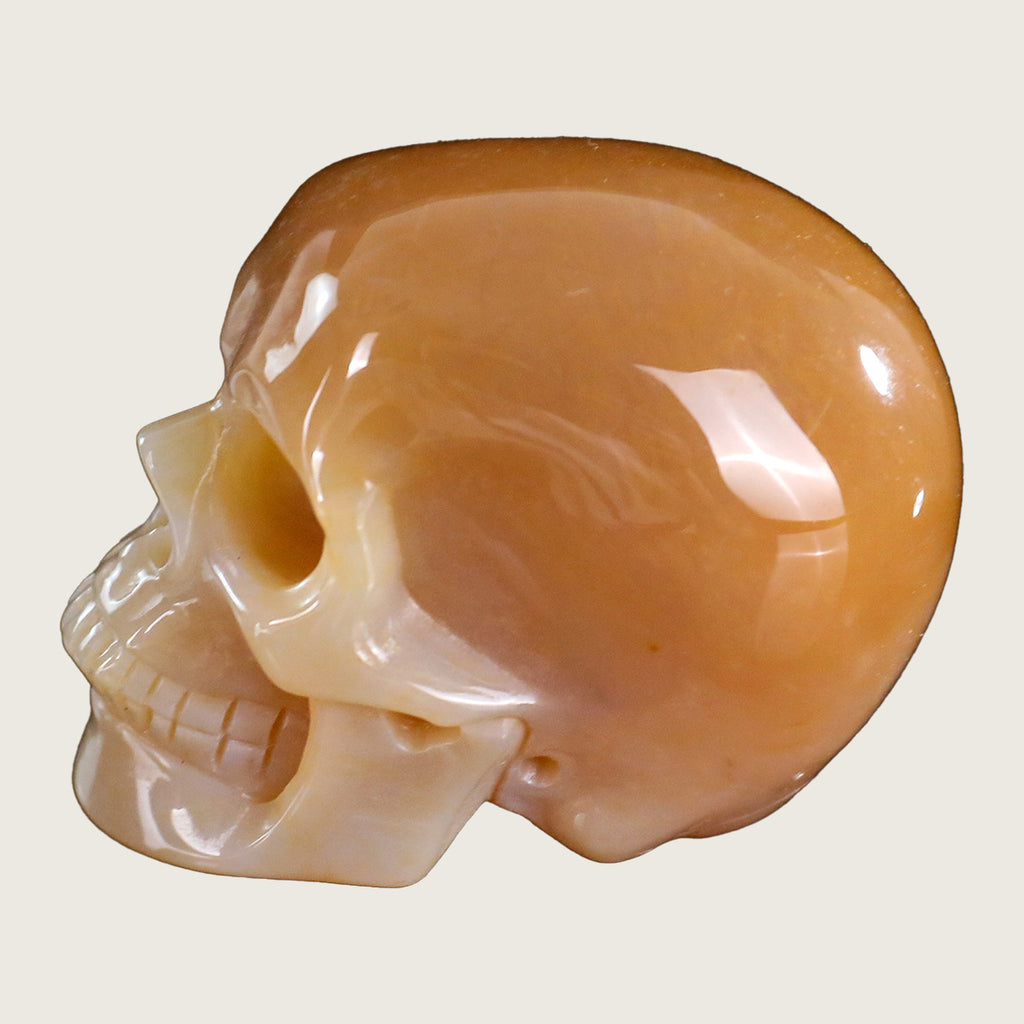 2.2" Chalcedony Jasper Crystal Skull Carving  #SKHCJ2201