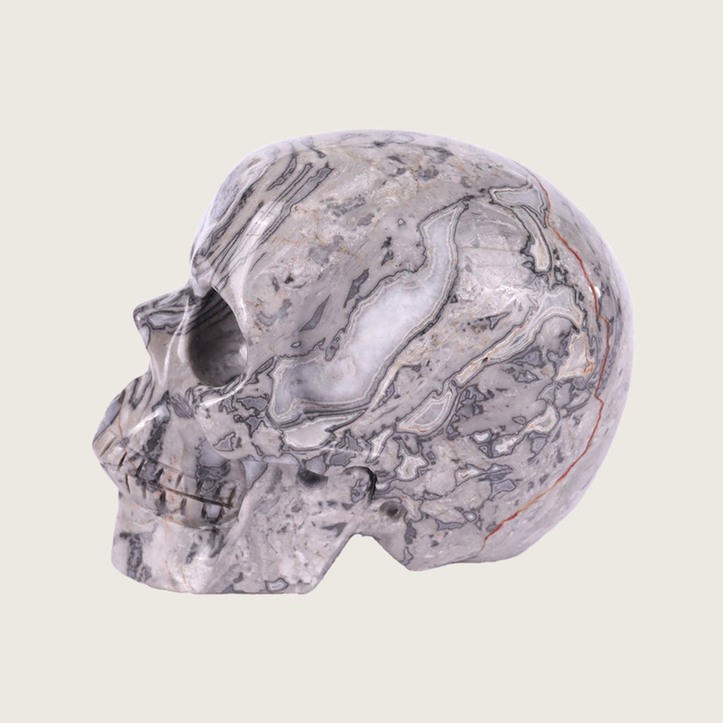 3.0" Crocodile Jasper Crystal Skull Carving  #SKH30036