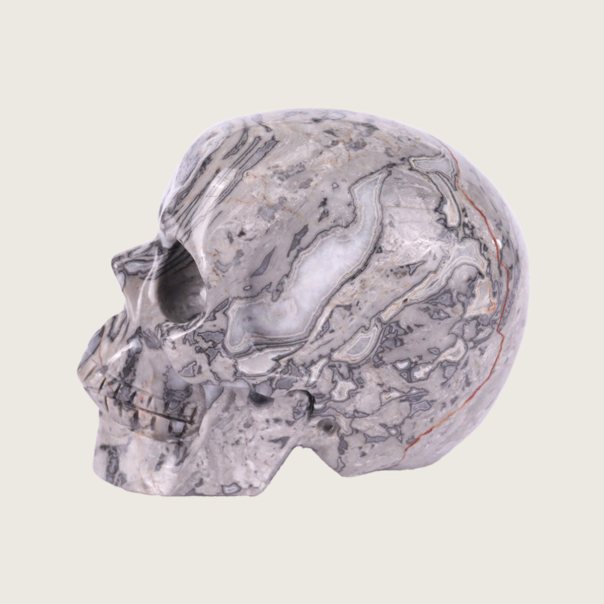 3.0" Crocodile Jasper Crystal Skull Carving  #SKH30036