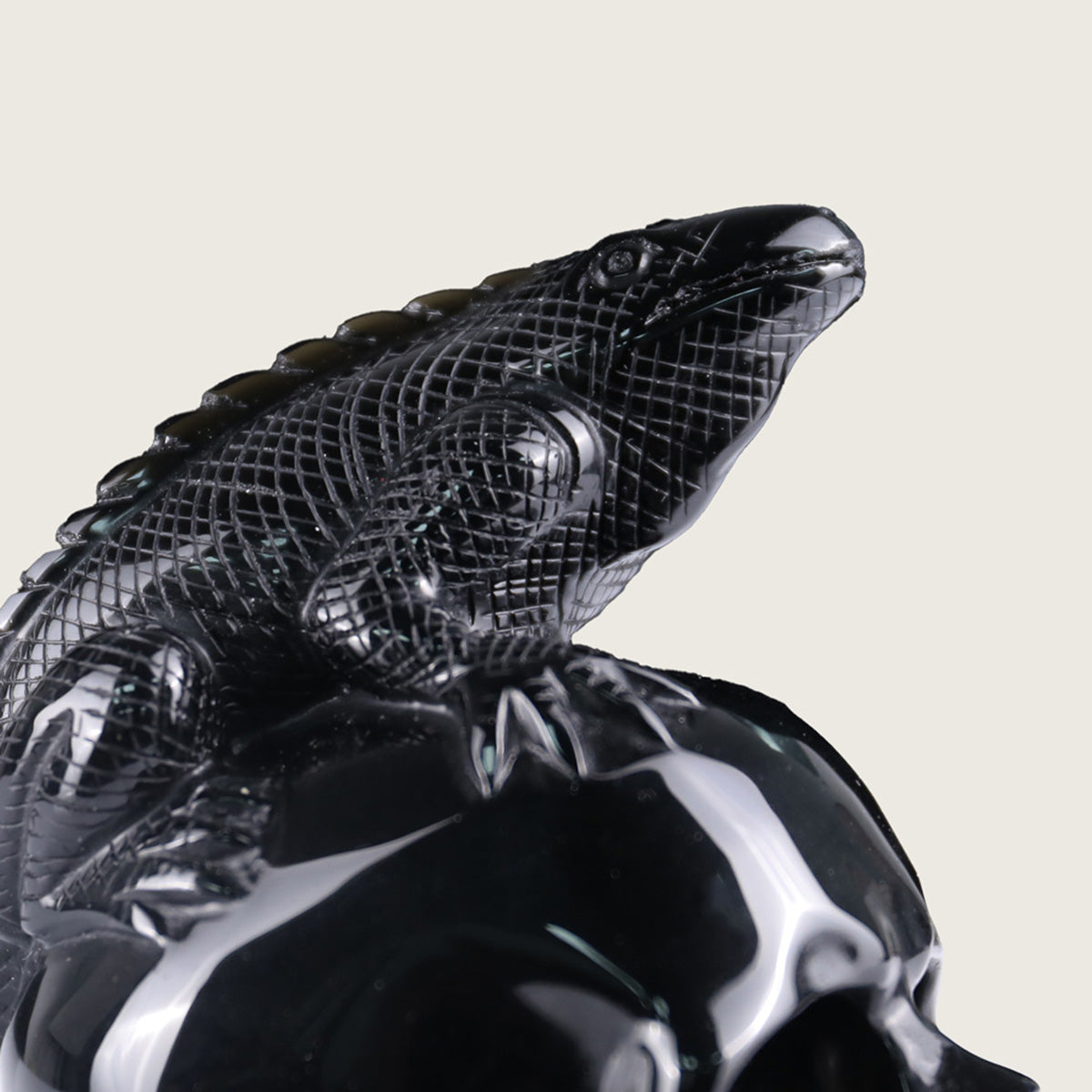4.7" Black Obsidian Lizard Skull Carving  #SCS0011