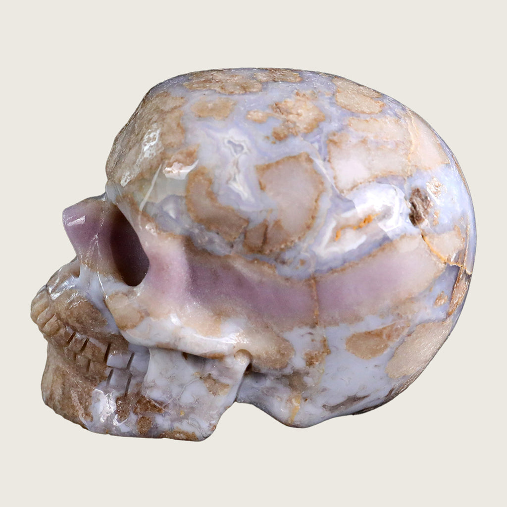 3.0" Blue Flower Agate Human Skull Carving  #SKH30009