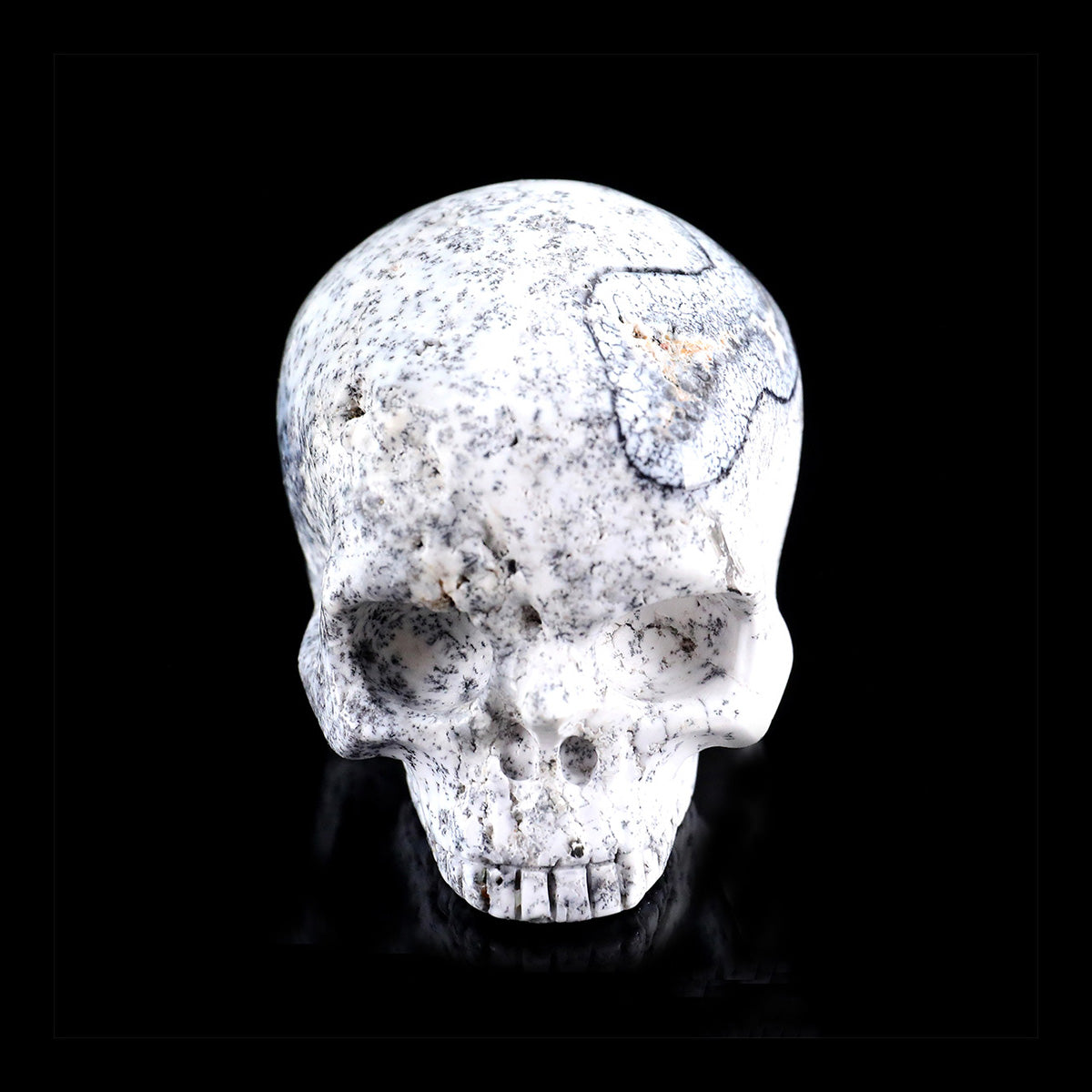 3.0" White Opal Jawless skull Carving  #CSC0036