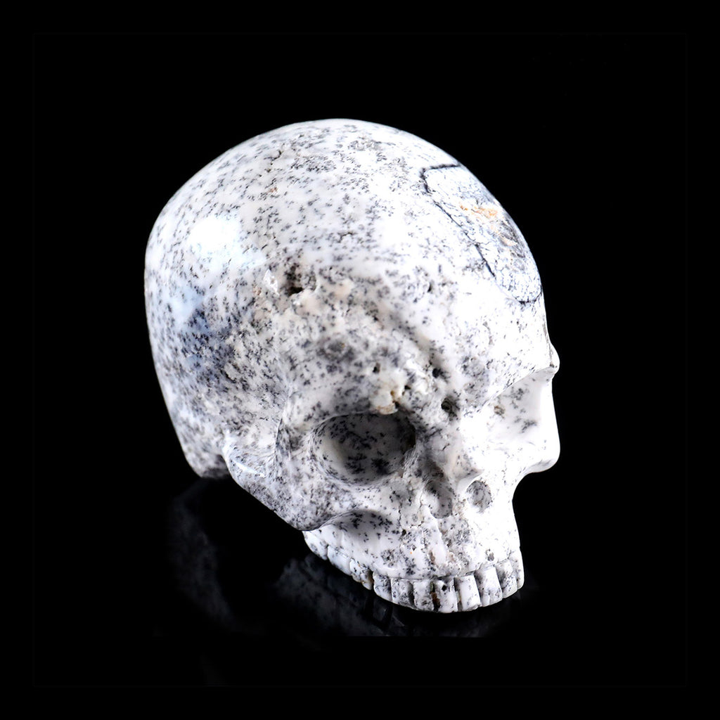 3.0" White Opal Jawless skull Carving  #CSC0036