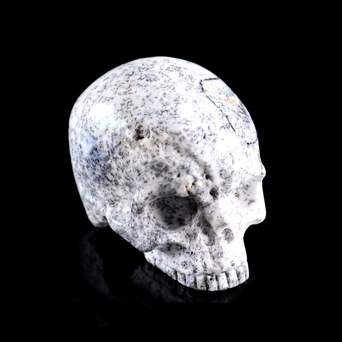 3.0" White Opal Jawless skull Carving  #CSC0036