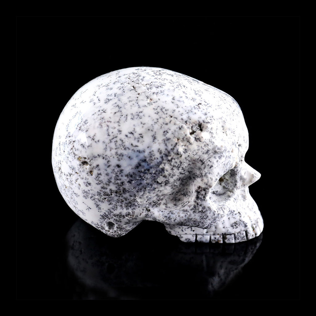 3.0" White Opal Jawless skull Carving  #CSC0036