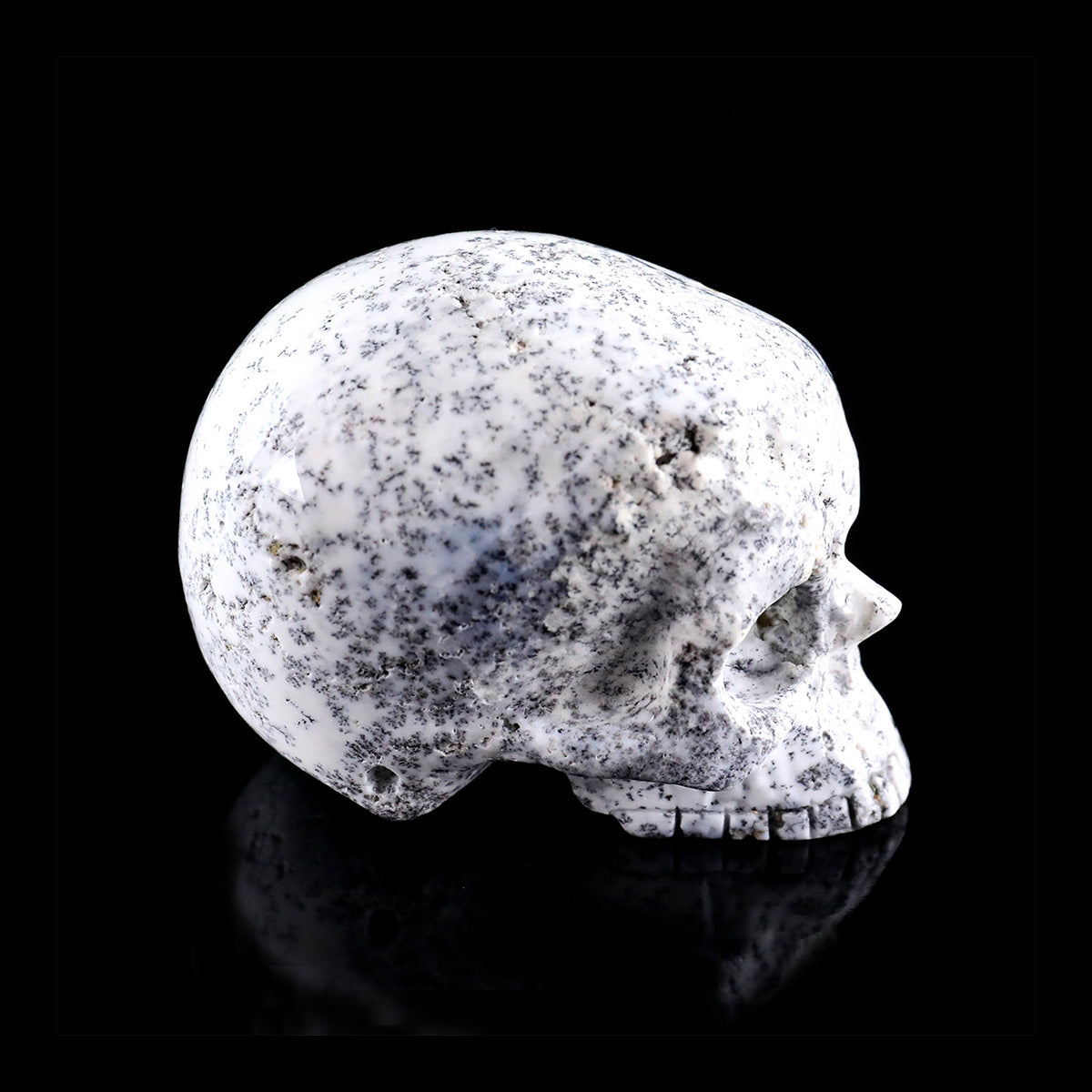 3.0" White Opal Jawless skull Carving  #CSC0036