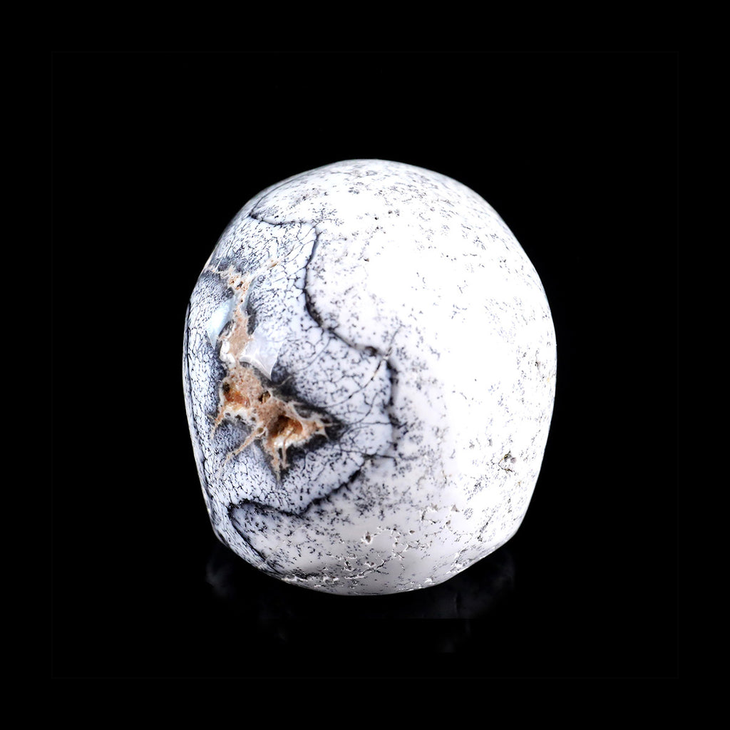 3.0" White Opal Jawless skull Carving  #CSC0036
