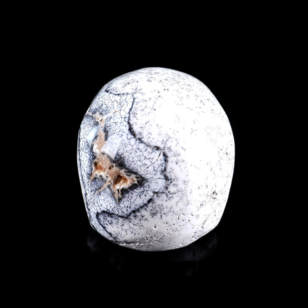 3.0" White Opal Jawless skull Carving  #CSC0036