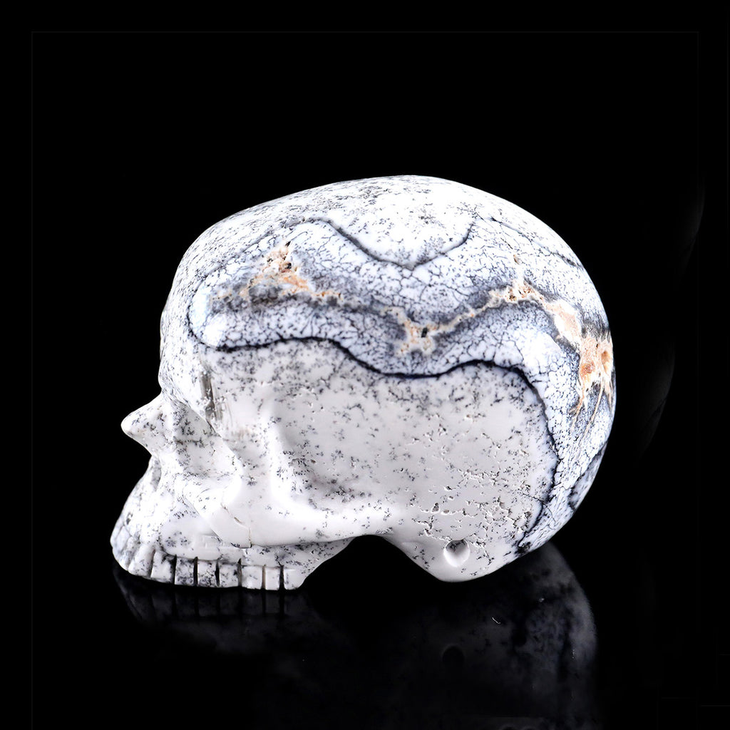 3.0" White Opal Jawless skull Carving  #CSC0036