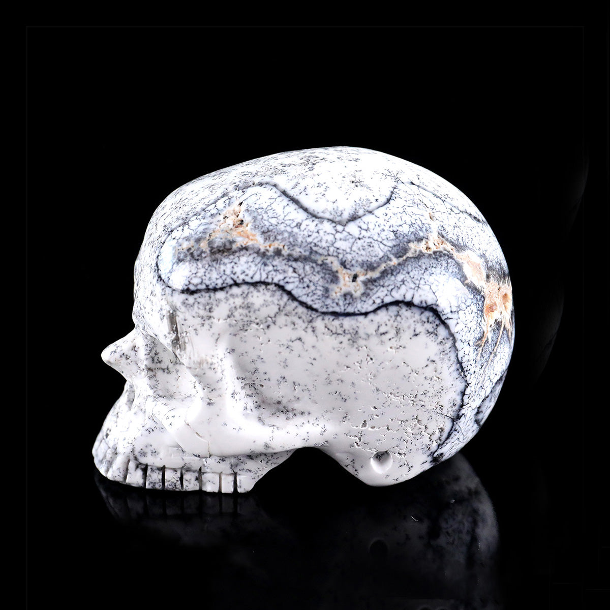 3.0" White Opal Jawless skull Carving  #CSC0036