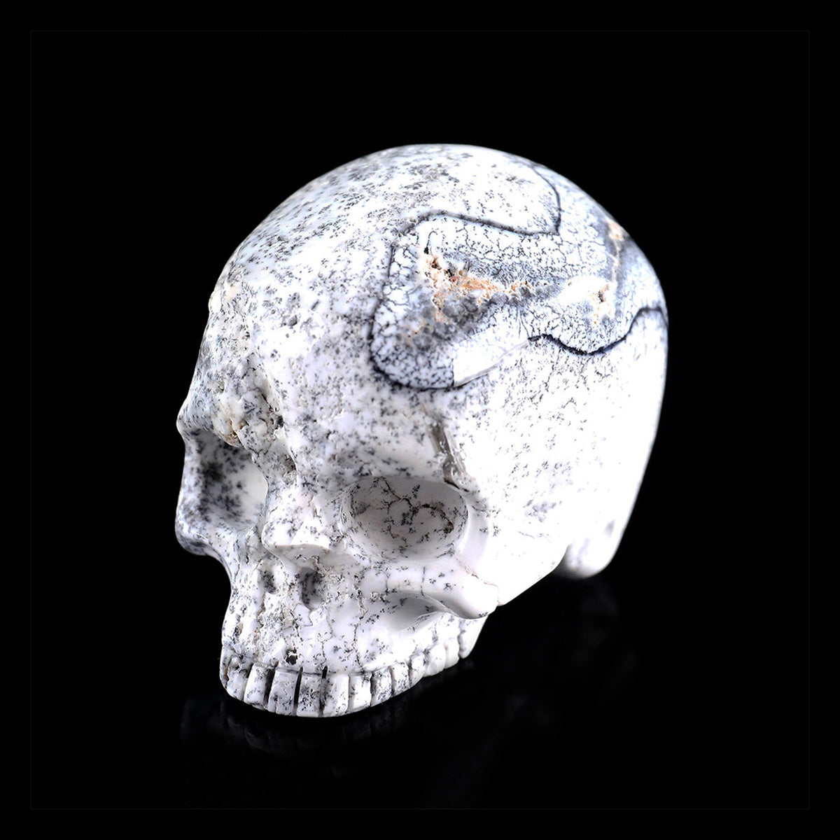 3.0" White Opal Jawless skull Carving  #CSC0036