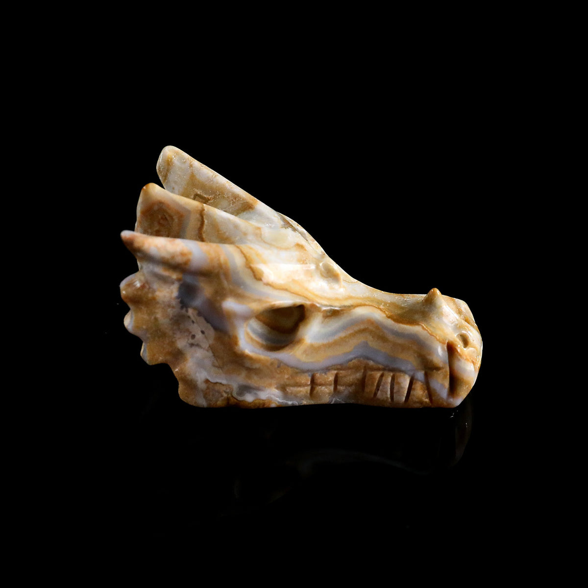 2.2" Lace Agate Dragon Skull Carving  #CSC0046