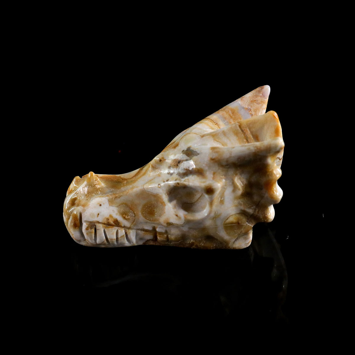 2.2" Lace Agate Dragon Skull Carving  #CSC0046