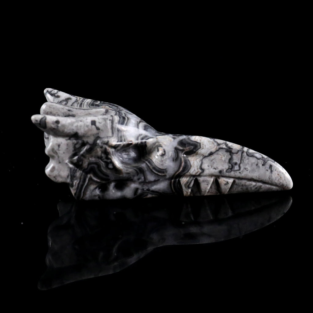 3.0" Black Crazy Agate Phoenix Skull Carving  #CSC0042