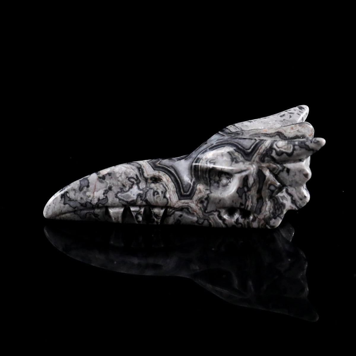 3.0" Black Crazy Agate Phoenix Skull Carving  #CSC0042