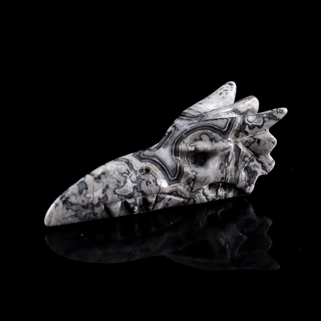3.0" Black Crazy Agate Phoenix Skull Carving  #CSC0042
