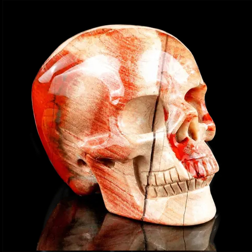 3.0" Red Jasper Crystal Skull Carving  #SKH30121