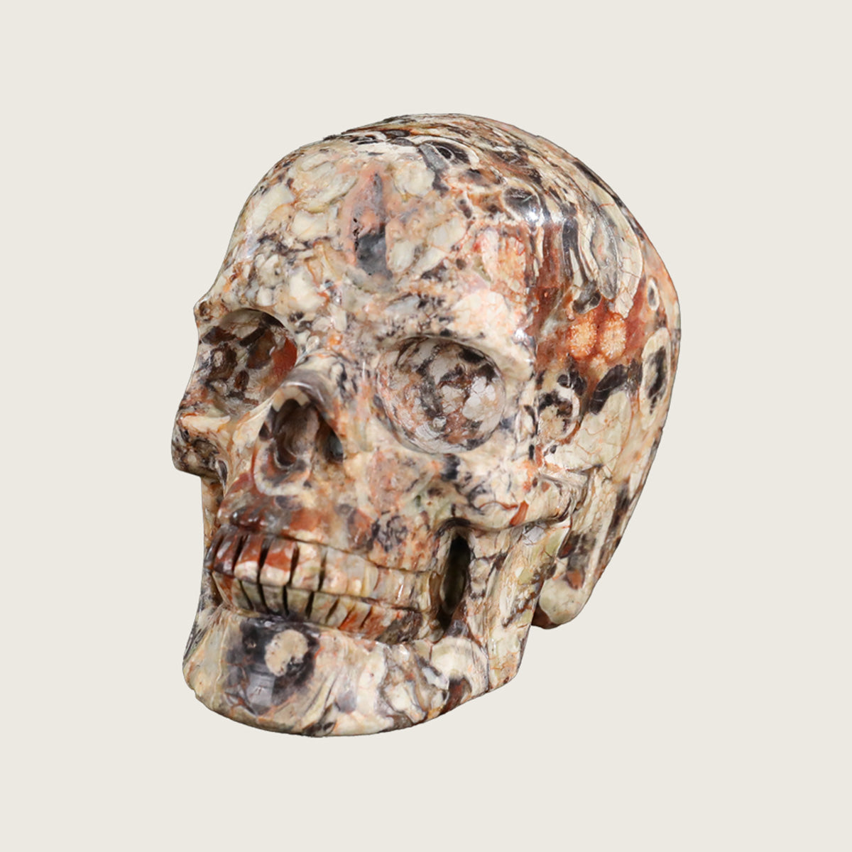 4.5" Coin Agate Crystal Skull Carving  #SKH45025